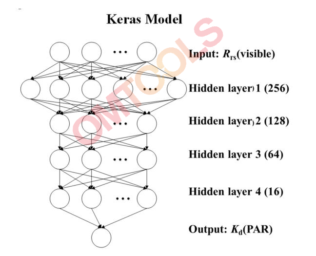 利用Rrs (λ)估计Kd ( PAR )的深度学习系统示意图