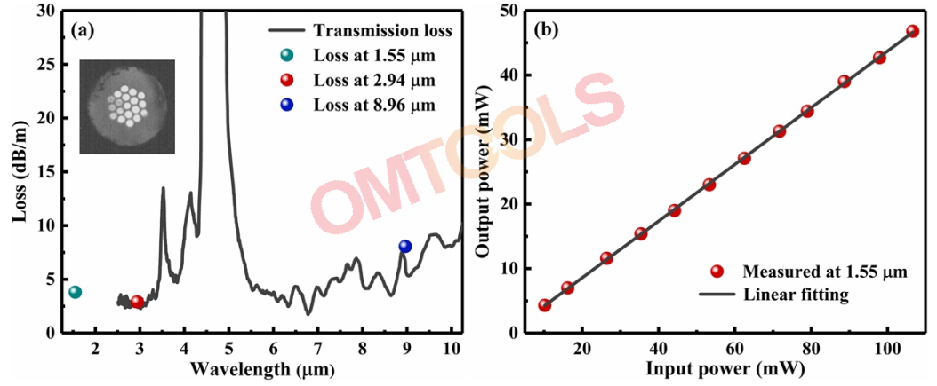 (a)合成纤维的传输损耗;绿圆:1.55µm损耗;蓝色圆:2.94µm损耗;黑圆:8.96µm损耗;插入:能量分布图像 (b) 1.55µm处的光纤透过率