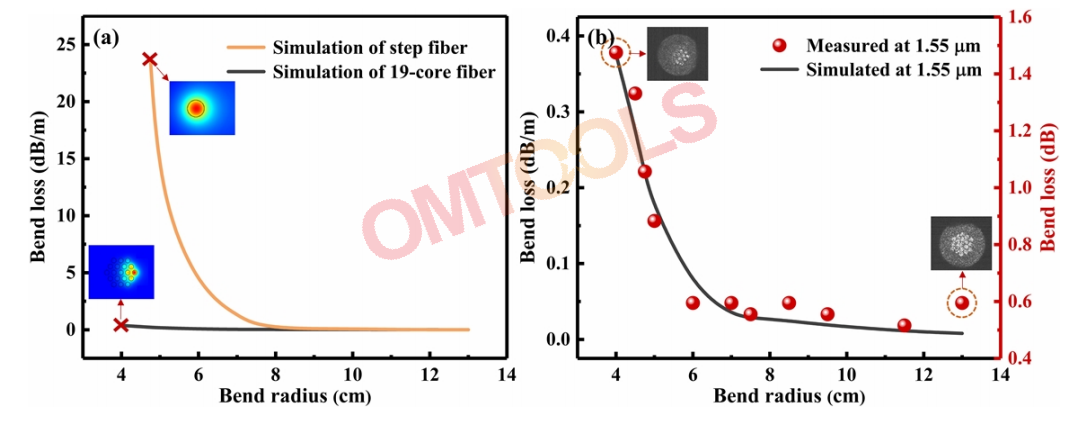 (a)阶跃光纤与19芯光纤的弯曲损耗比较